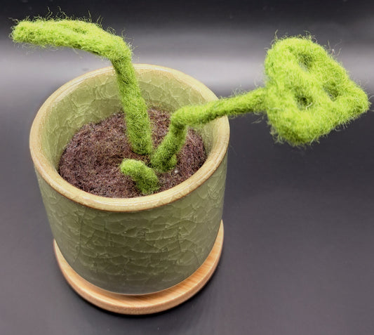 Needle felted Monstera Plant