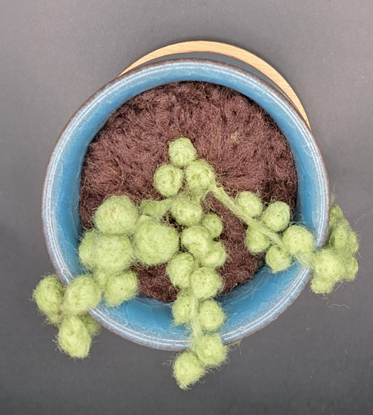Needle Felted Pear Green String of Pearls in Glazed Pot