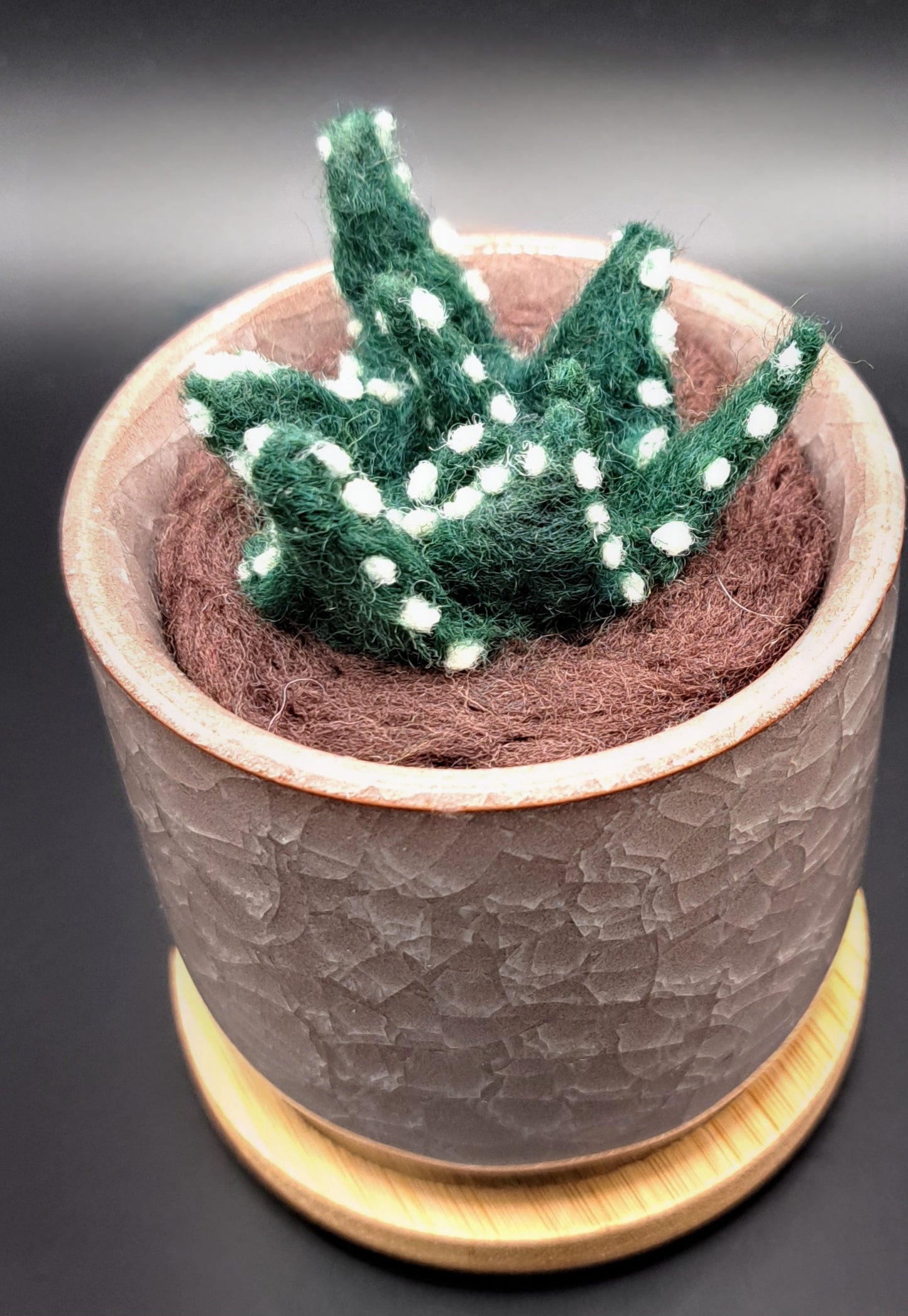 Needle Felted Succulent