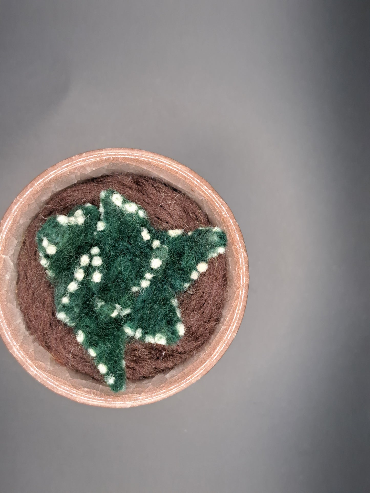 Needle Felted Succulent