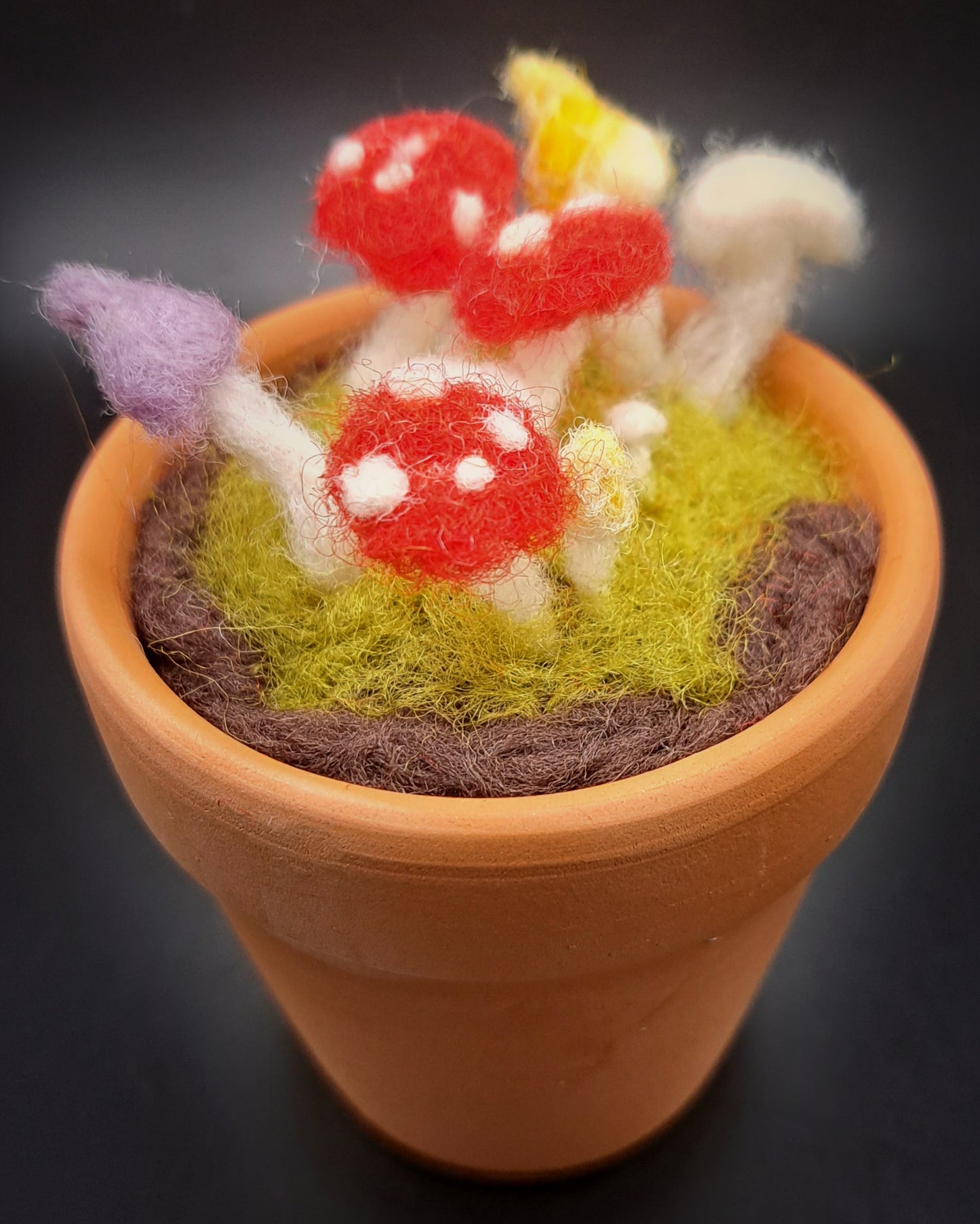 Needle felted Mushrooms in Glazed Square Pot