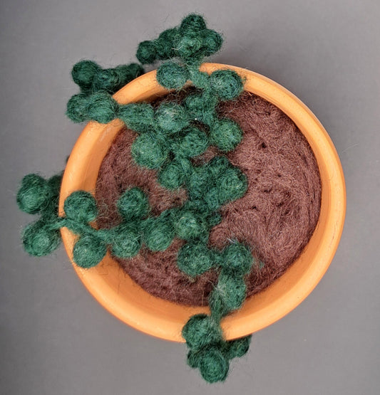 Needle Felted String of Pearls in Terracotta Pot
