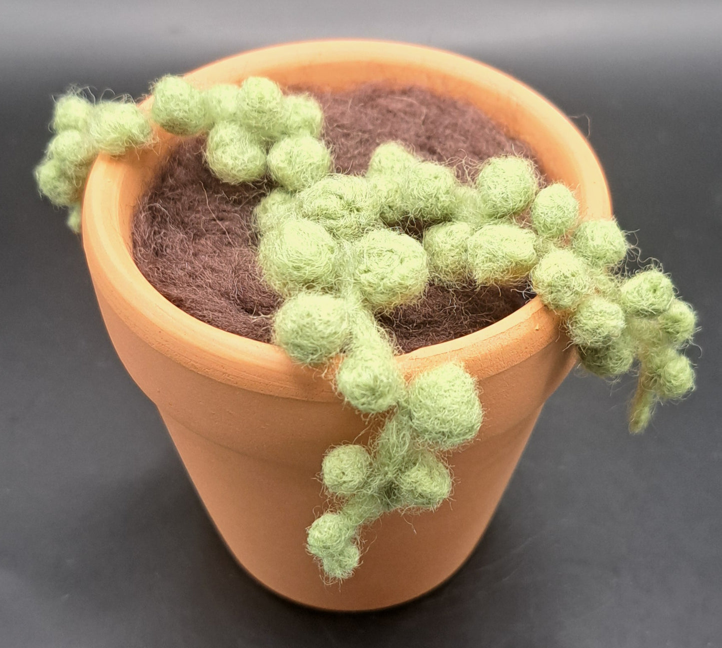 Needle Felted String of Pearls in Terracotta Pot