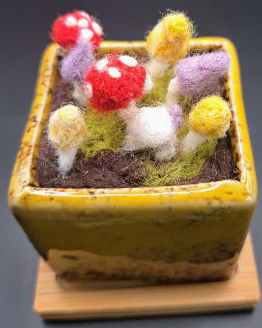 Needle felted Mushrooms in Glazed Square Pot