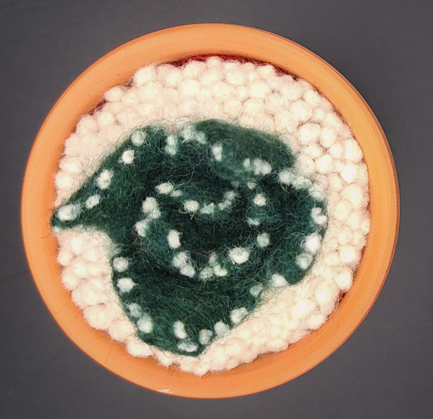 Needle Felted Succulent