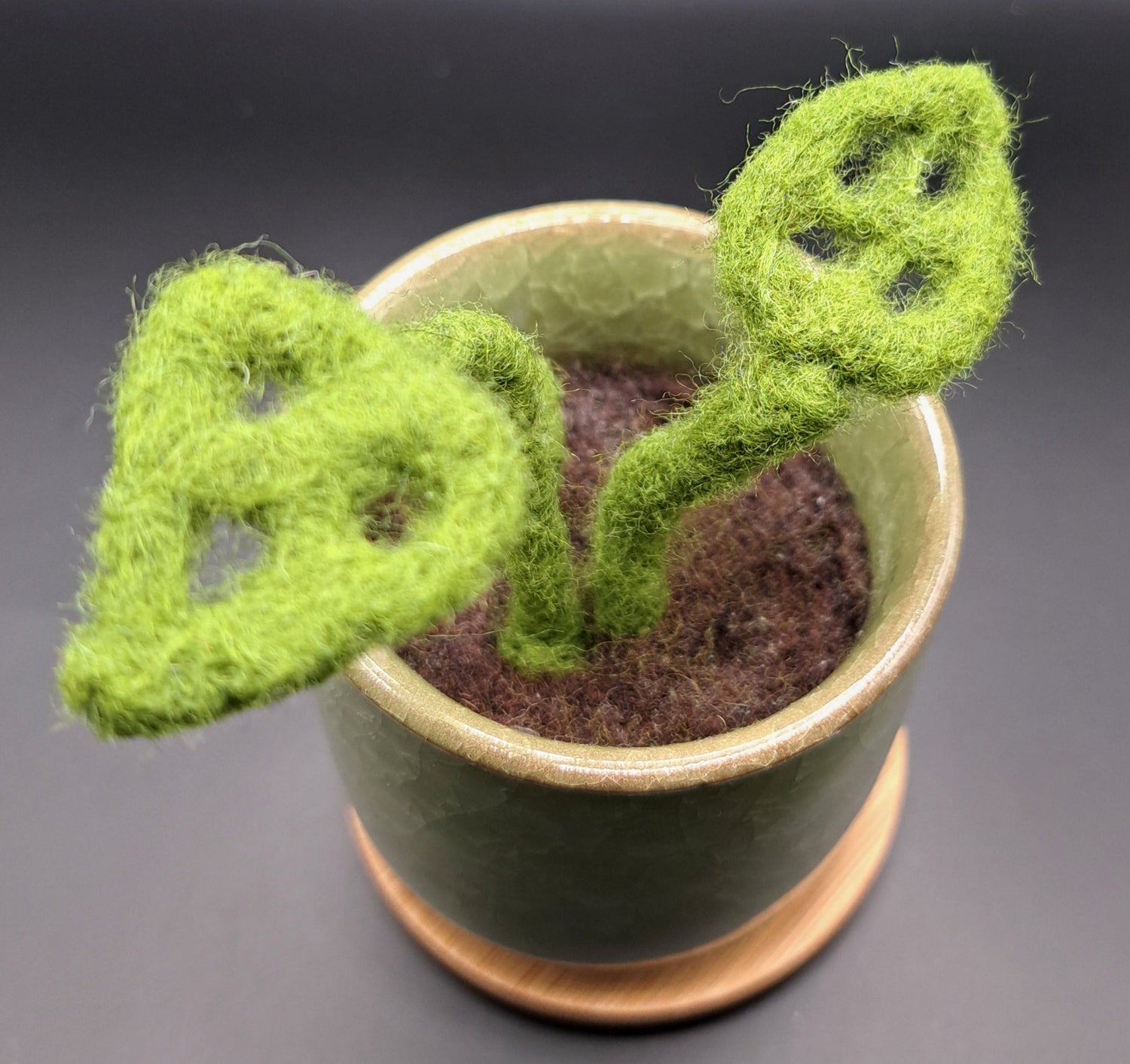 Needle Felted Plants