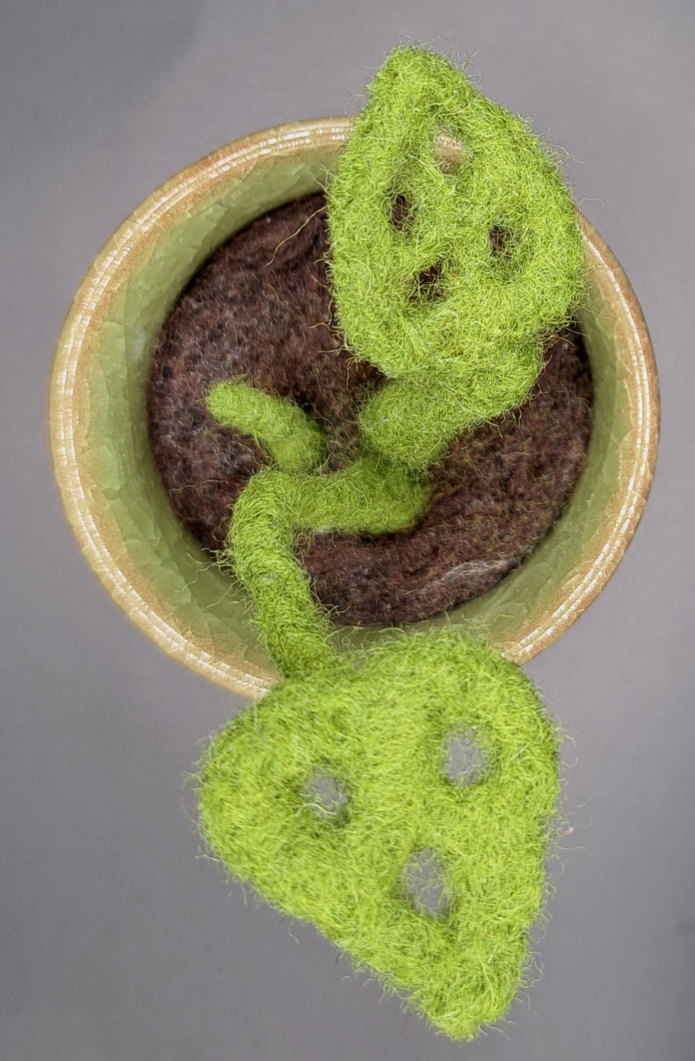 Needle felted Monstera Plant