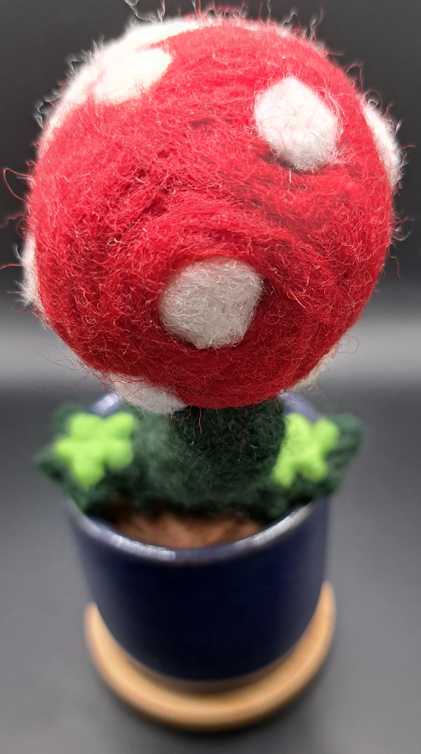 Needle Felted Piranha Plant