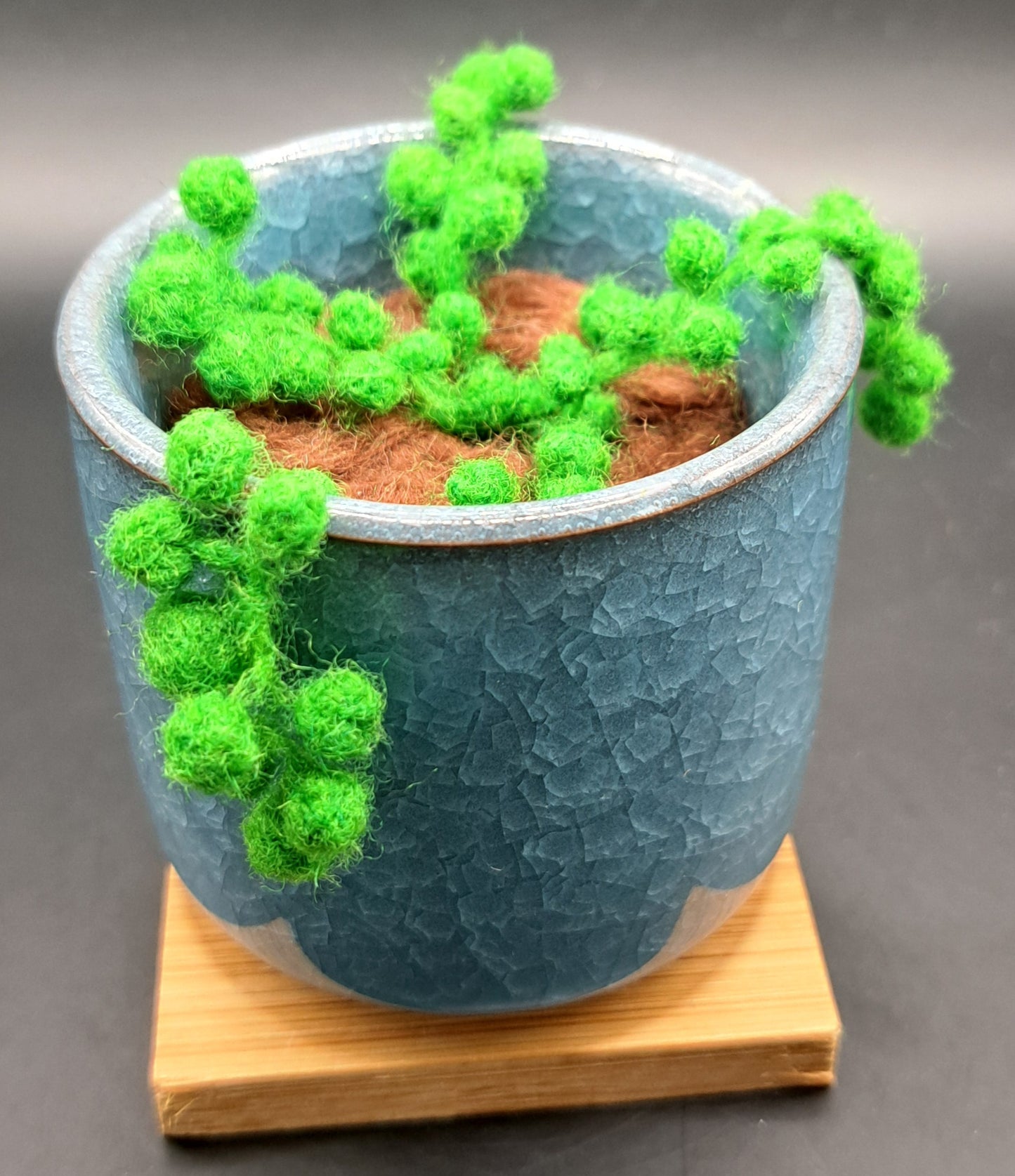 Needle Felted Pear Green String of Pearls in Glazed Pot