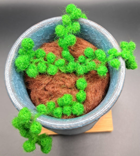 Needle Felted Pear Green String of Pearls in Glazed Pot