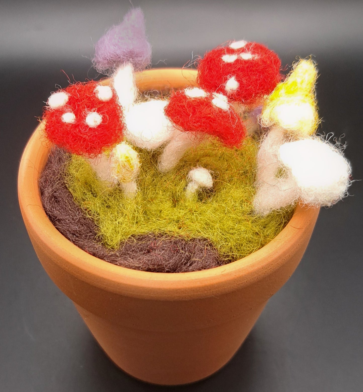 Needle felted Mushrooms in Glazed Square Pot