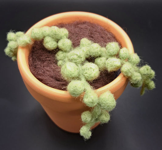 Needle Felted String of Pearls in Terracotta Pot