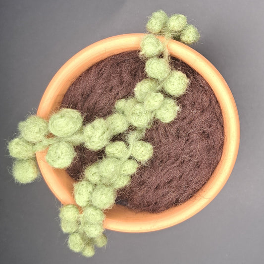 Needle Felted String of Pearls in Terracotta Pot
