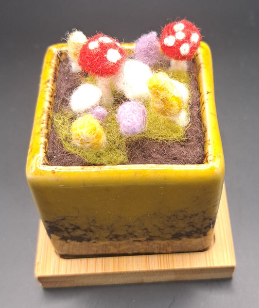 Needle felted Mushrooms in Glazed Square Pot